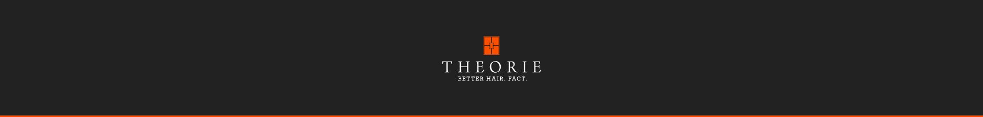 theorie nz