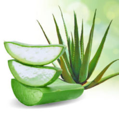 Velona Aloe Vera Gel