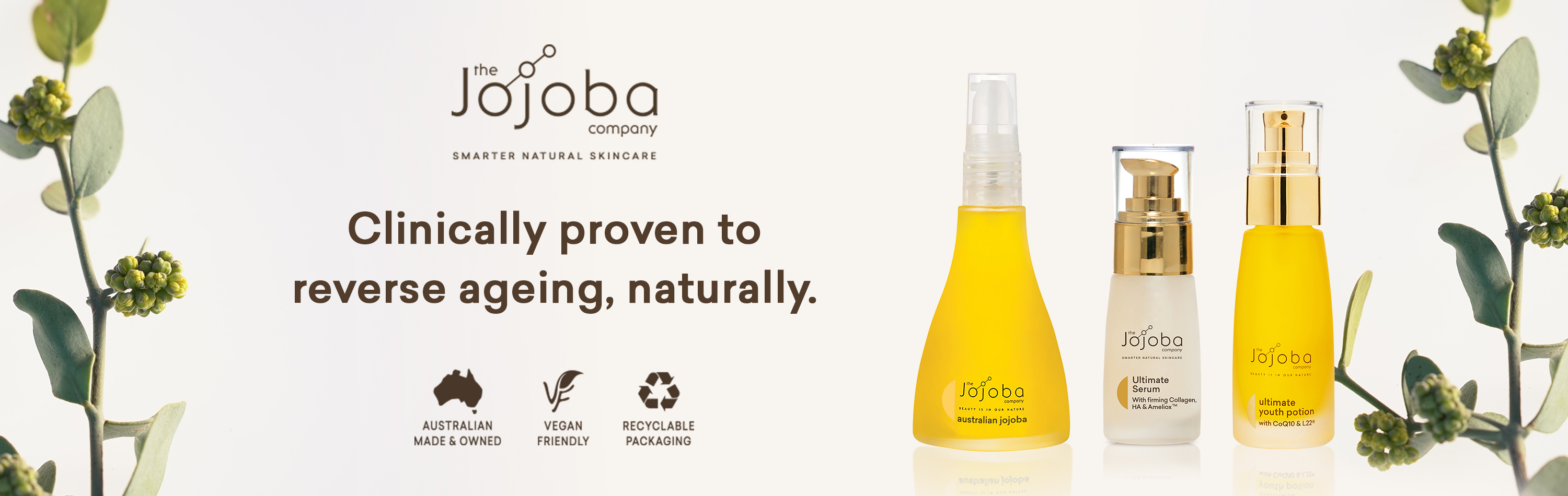 the jojoba company